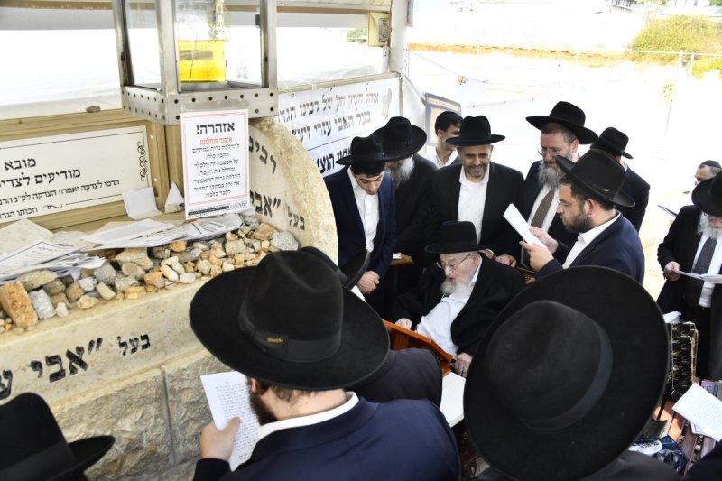 שוקי לרר