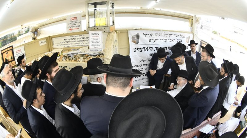 שוקי לרר