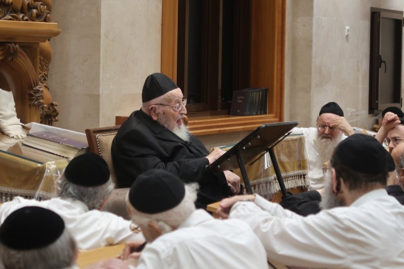 שוקי לרר