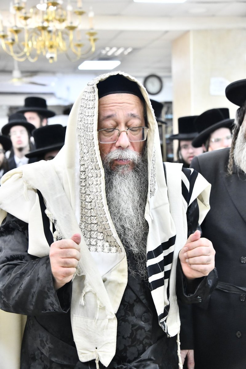 שוקי לרר