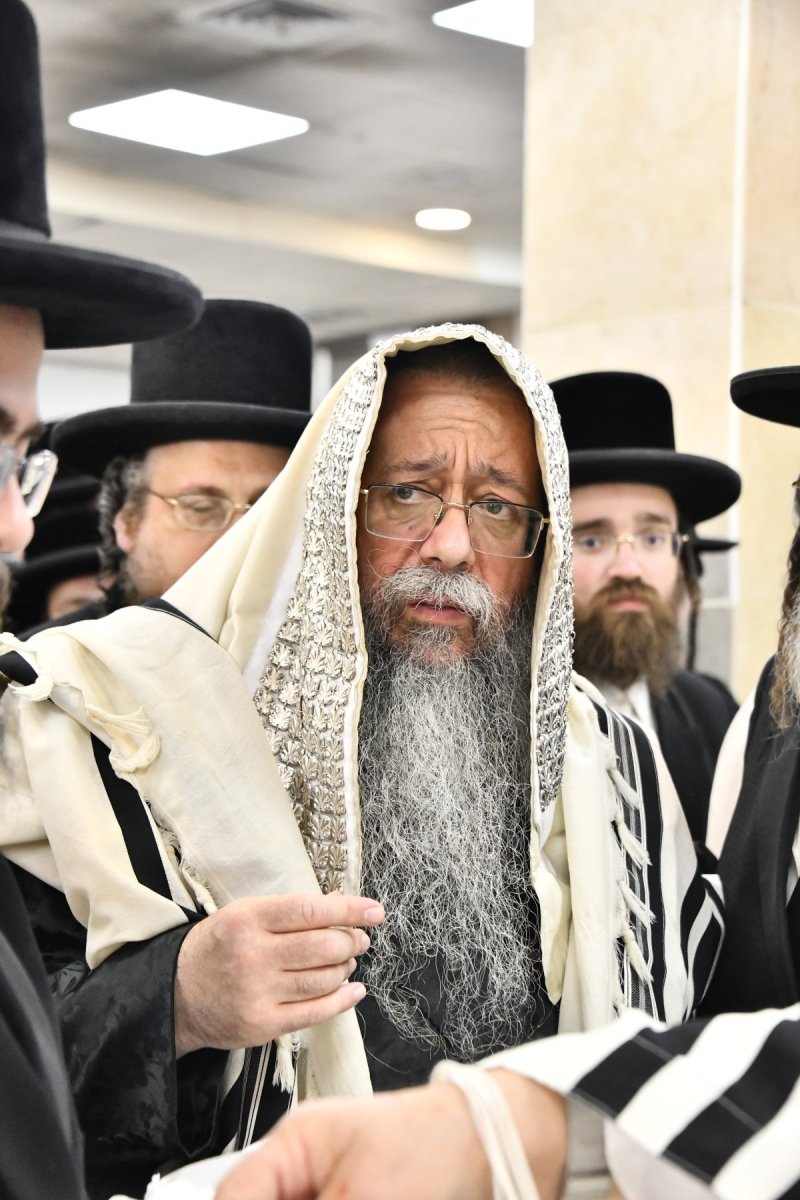 שוקי לרר