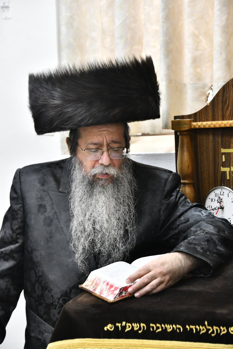שוקי לרר