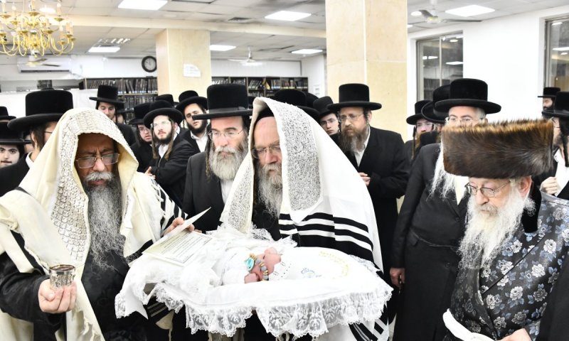 ברית קודש לצאצא משבט הלוי - נדבורנה חיפה - זידיטשוב