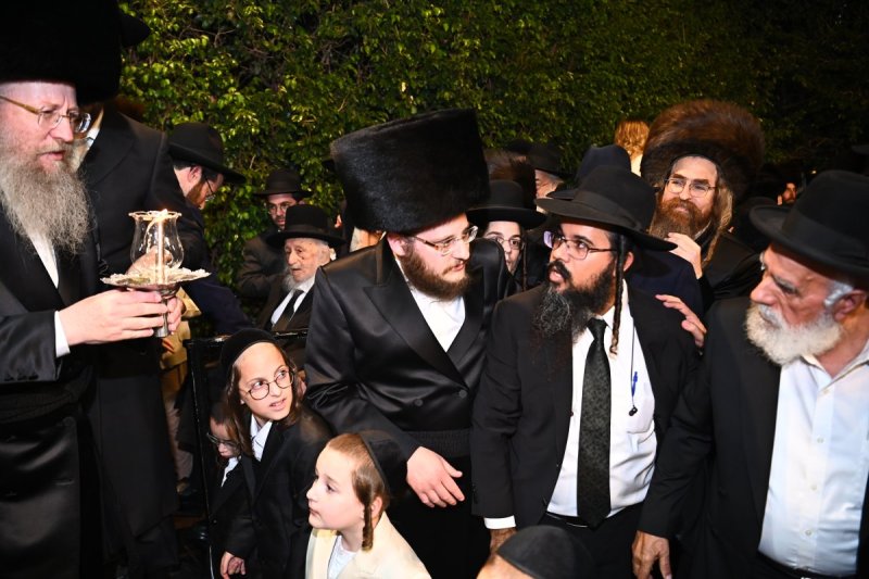 שוקי לרר