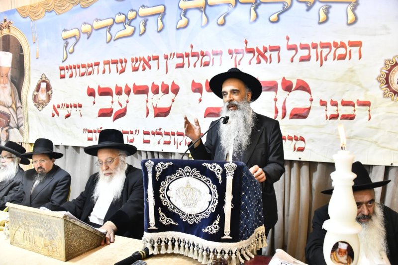 שוקי לרר