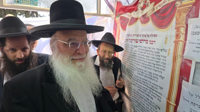 שוקי לרר