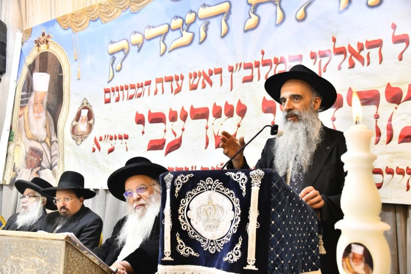 שוקי לרר