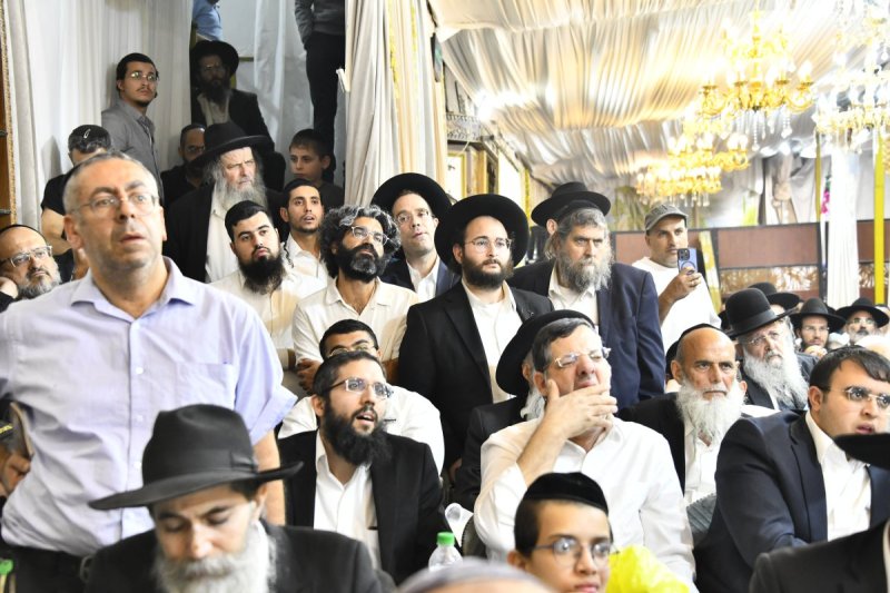 שוקי לרר
