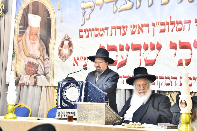 שוקי לרר