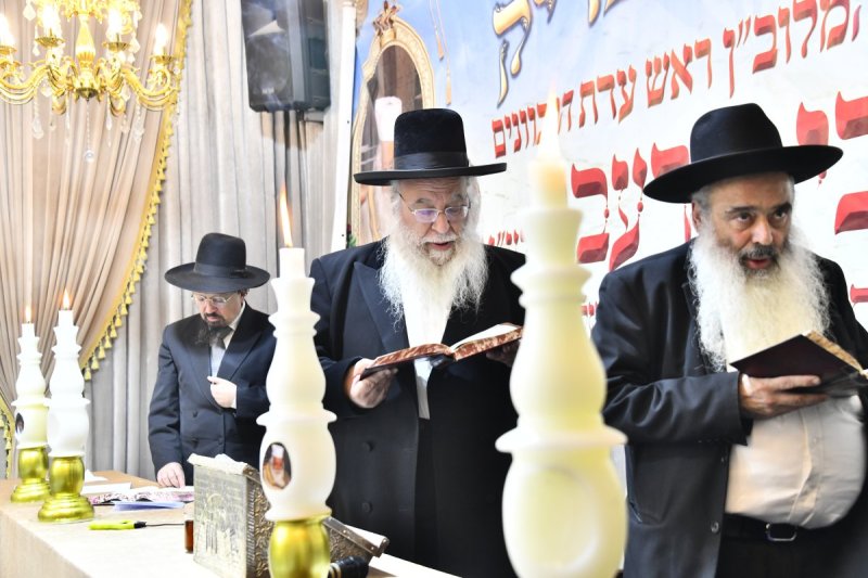 שוקי לרר