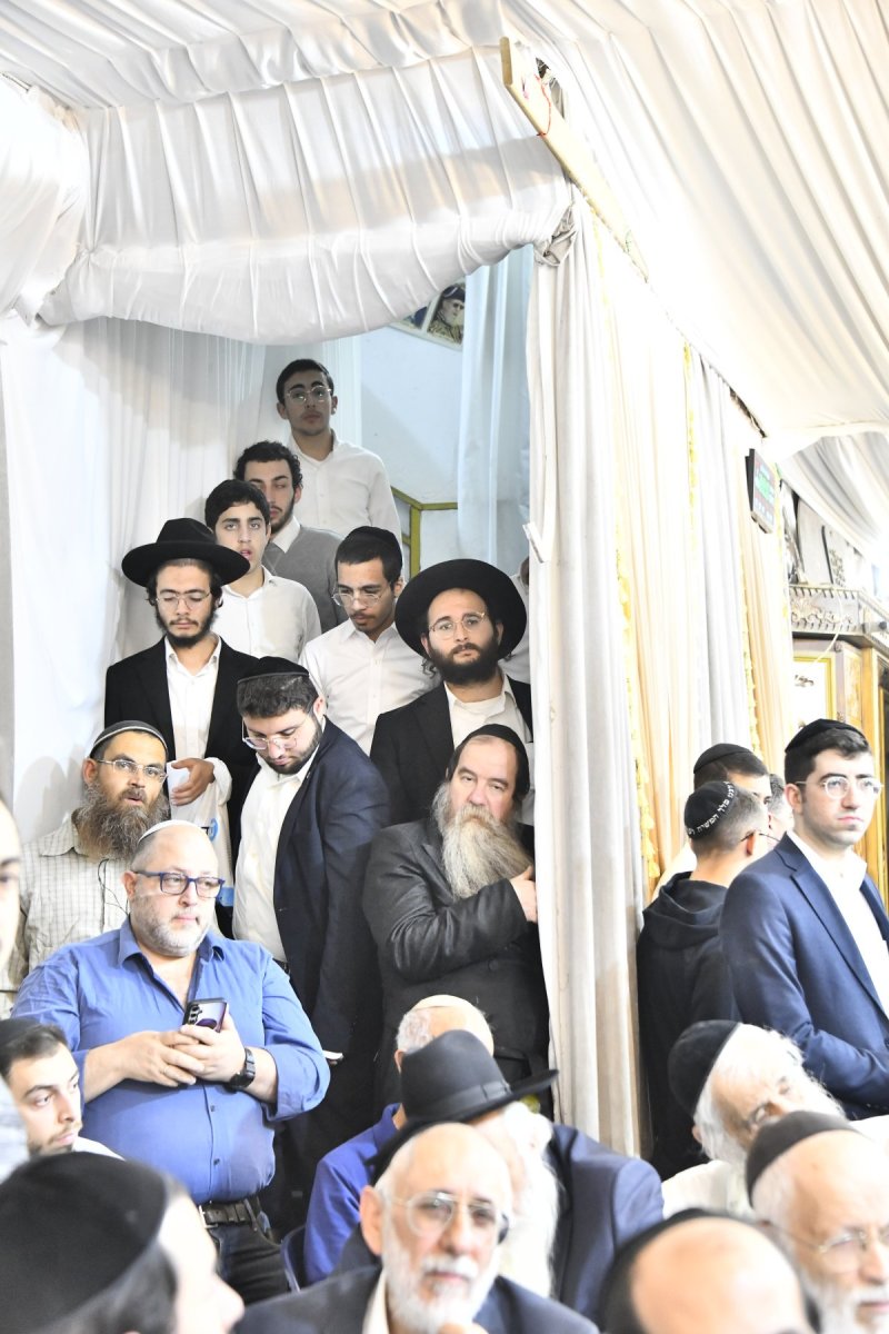 שוקי לרר