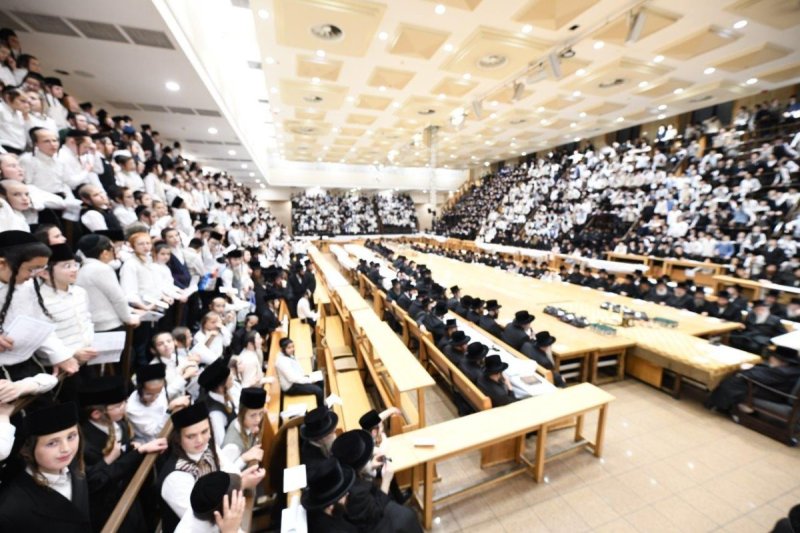 אנשיל בעק