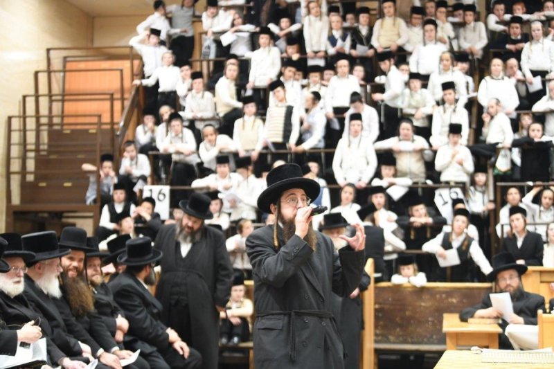 אנשיל בעק
