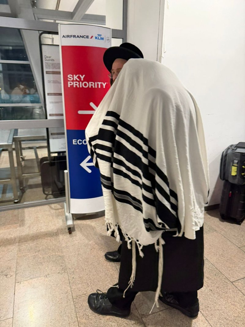 שלומי כהן
