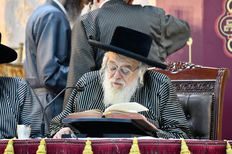 שוקי לרר