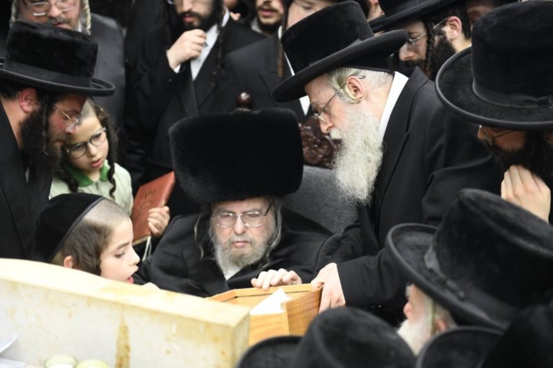 אנשיל בעק