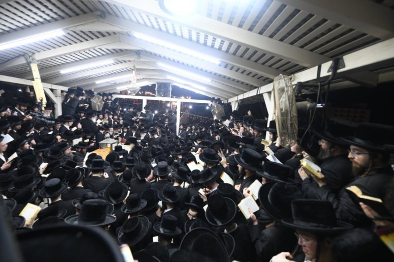 אנשיל בעק