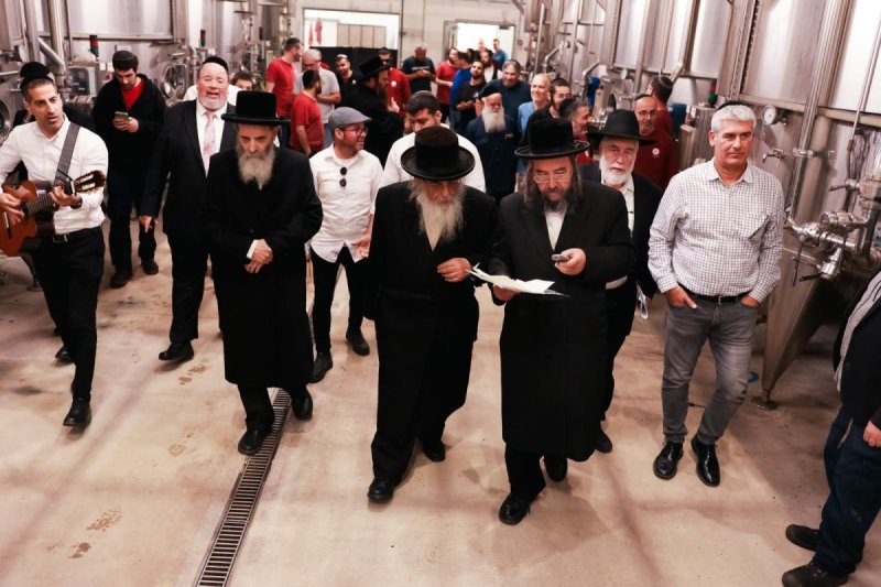 אלעזר ריגר