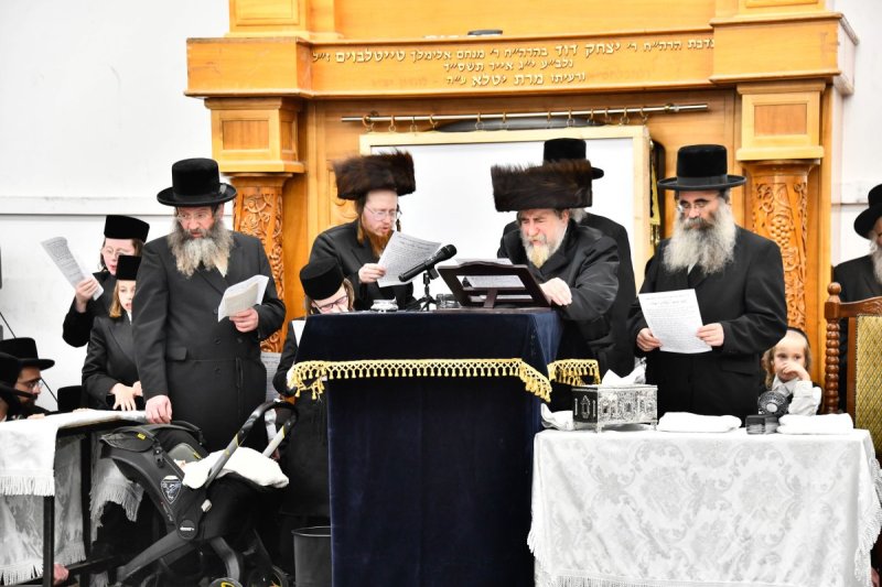שוקי לרר