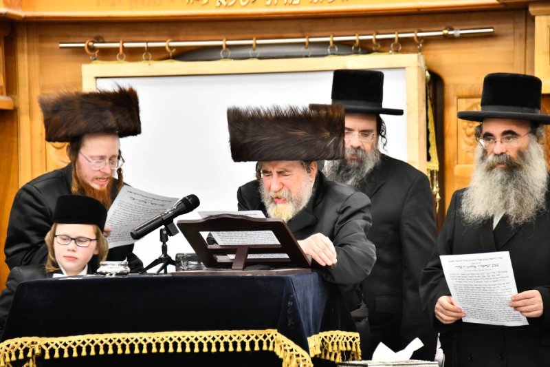 שוקי לרר