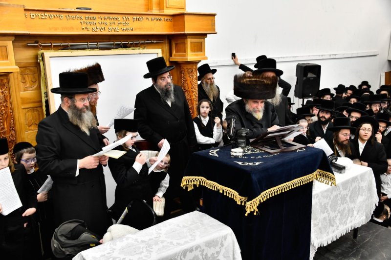 שוקי לרר