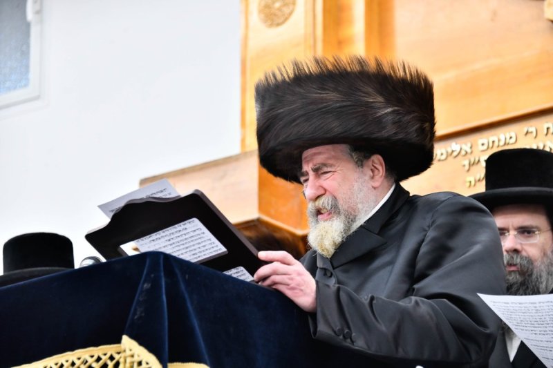 שוקי לרר