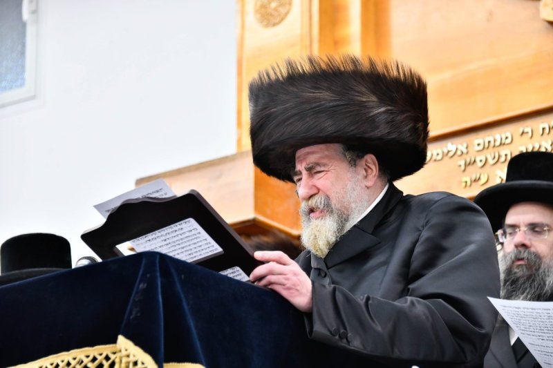 שוקי לרר