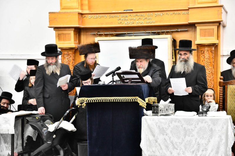 שוקי לרר