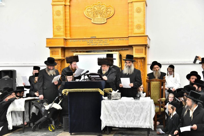 שוקי לרר