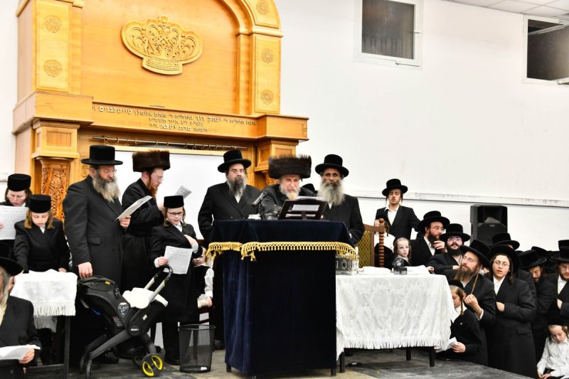 שוקי לרר