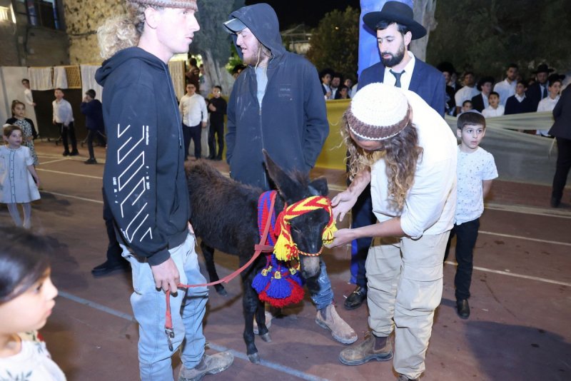 יעקב כהן