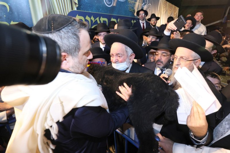 יעקב כהן