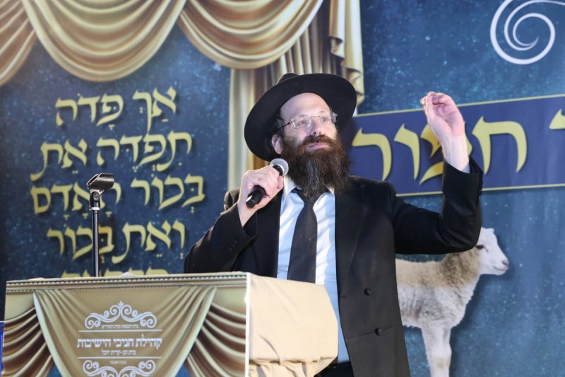 יעקב כהן