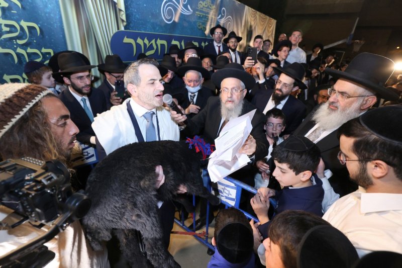 יעקב כהן