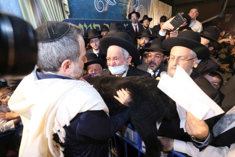 יעקב כהן