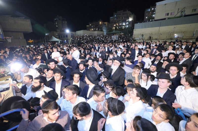 יעקב כהן