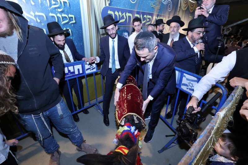 יעקב כהן