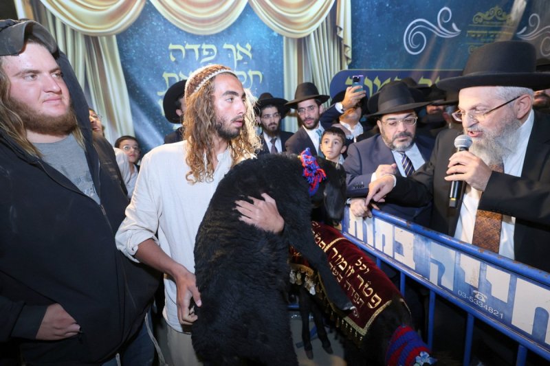 יעקב כהן