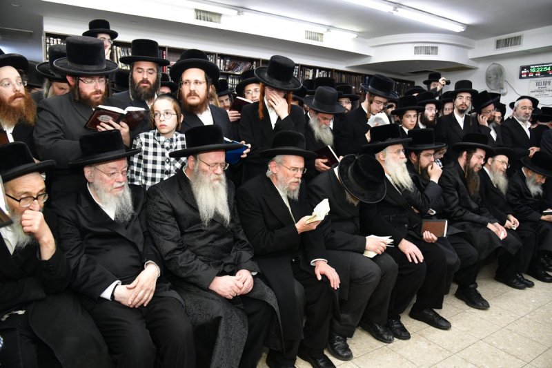 יוסי לוי