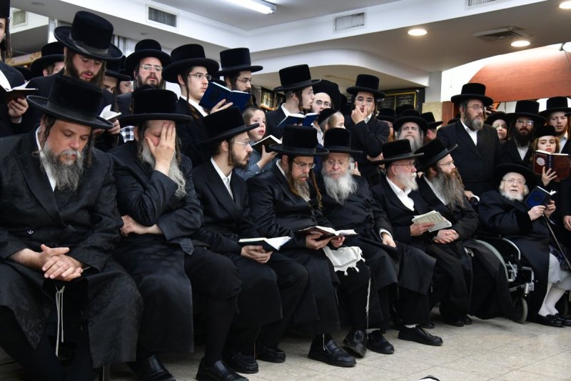 יוסי לוי