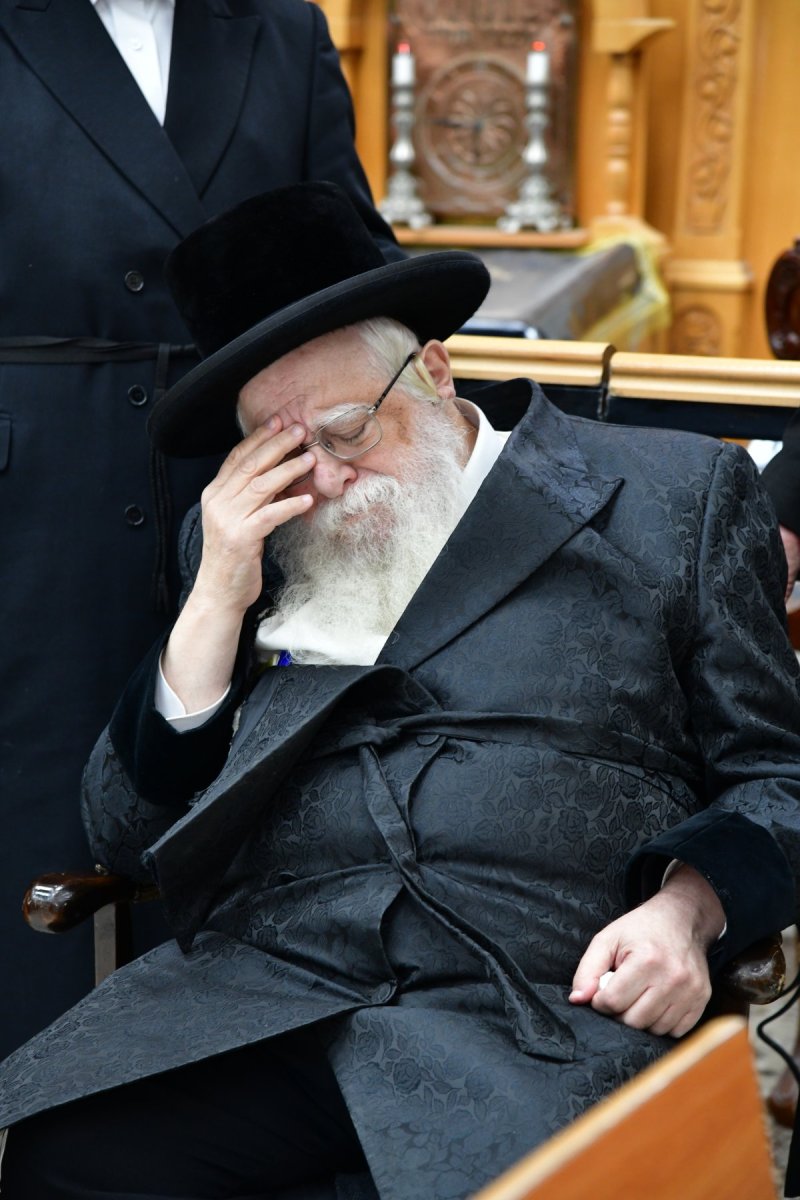 יוסי לוי