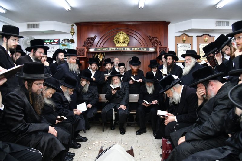 יוסי לוי
