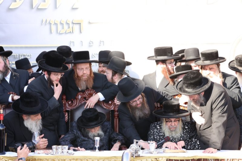 דוד כהן