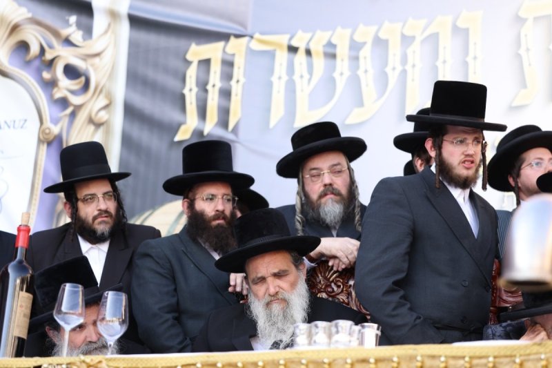דוד כהן