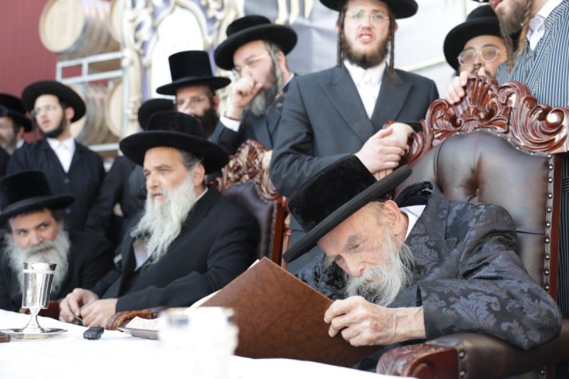 דוד כהן