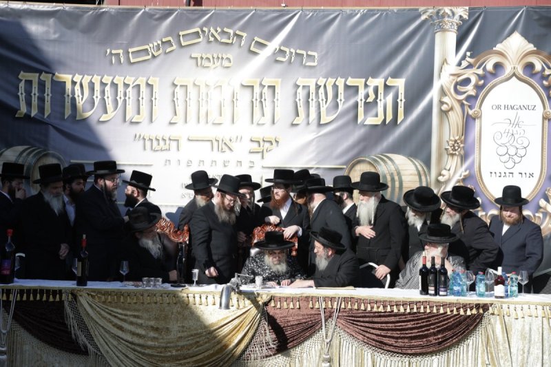 דוד כהן