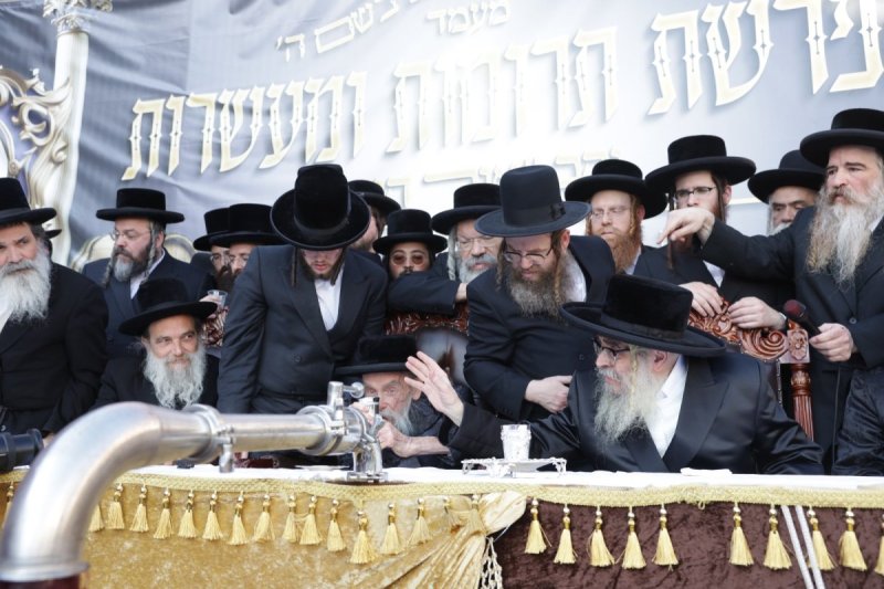 דוד כהן