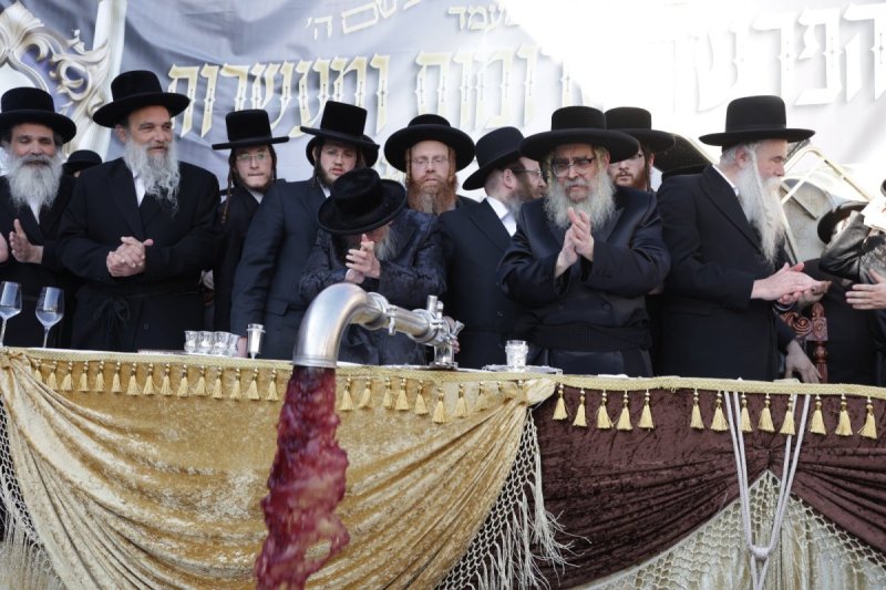 דוד כהן