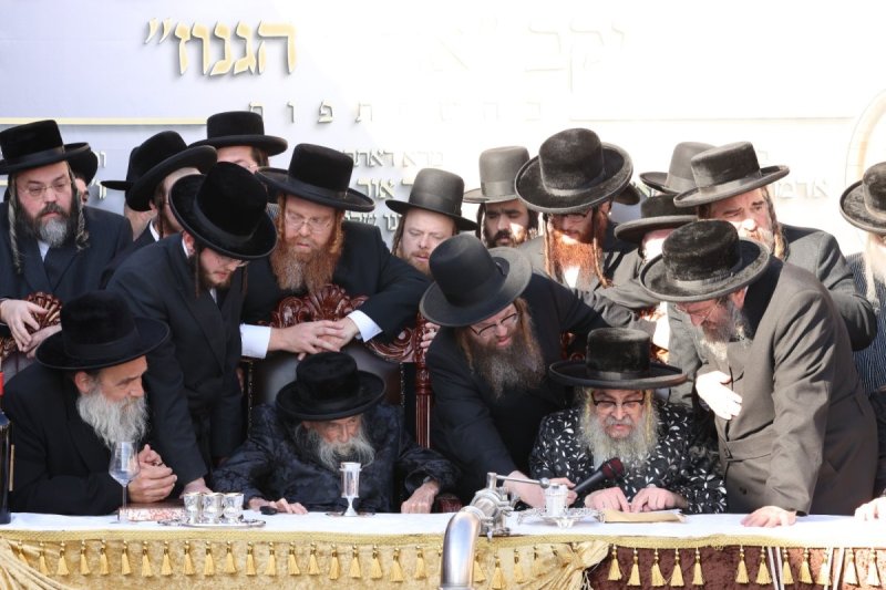 דוד כהן