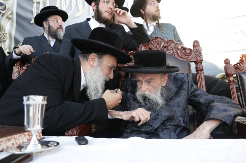 דוד כהן